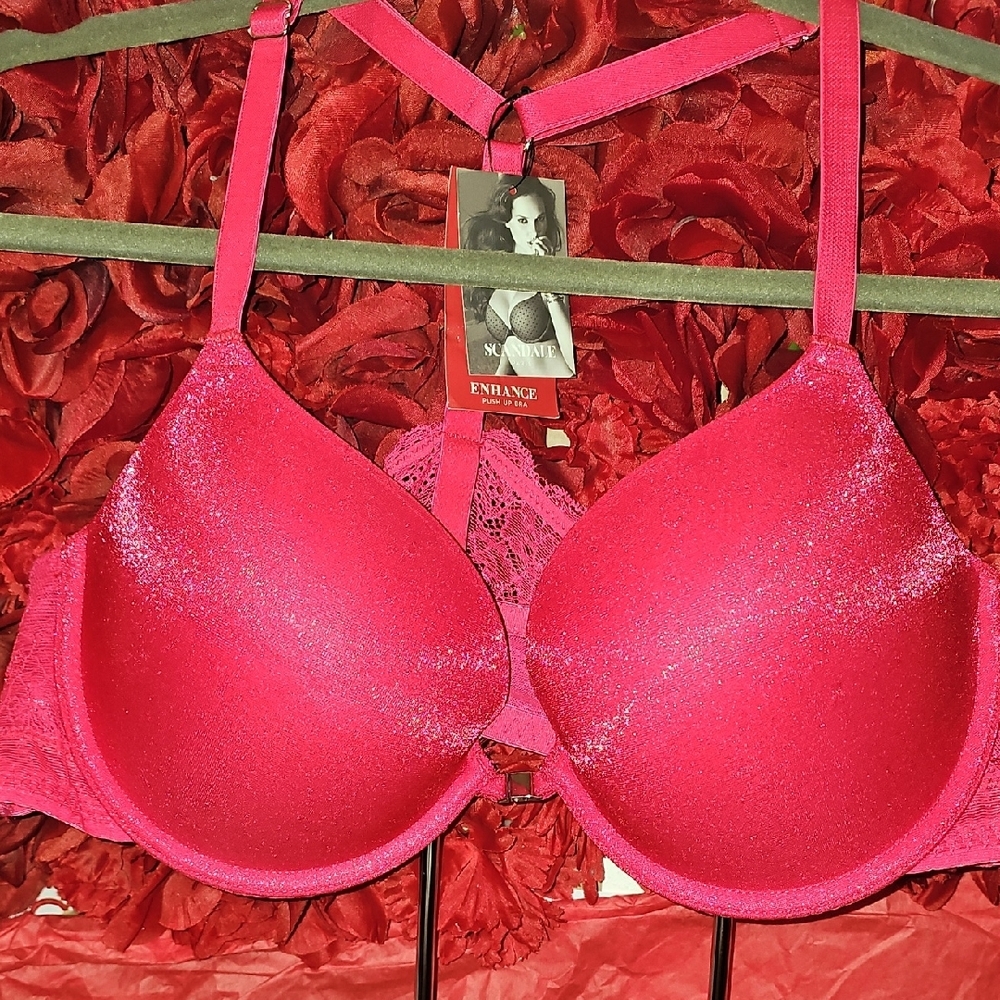Scandale Paris NWT Red Lace Sheen Push Up Bra Size 38C